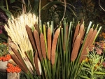 DSCF1024.JPG