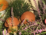 DSCF1338.JPG