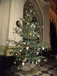 DSCF2403.JPG