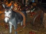 DSCF2538.JPG