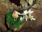 DSCF3383.JPG