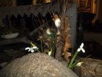 DSCF3403.JPG