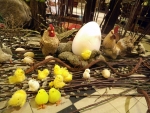 DSCF4952.JPG