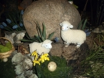DSCF4989.JPG